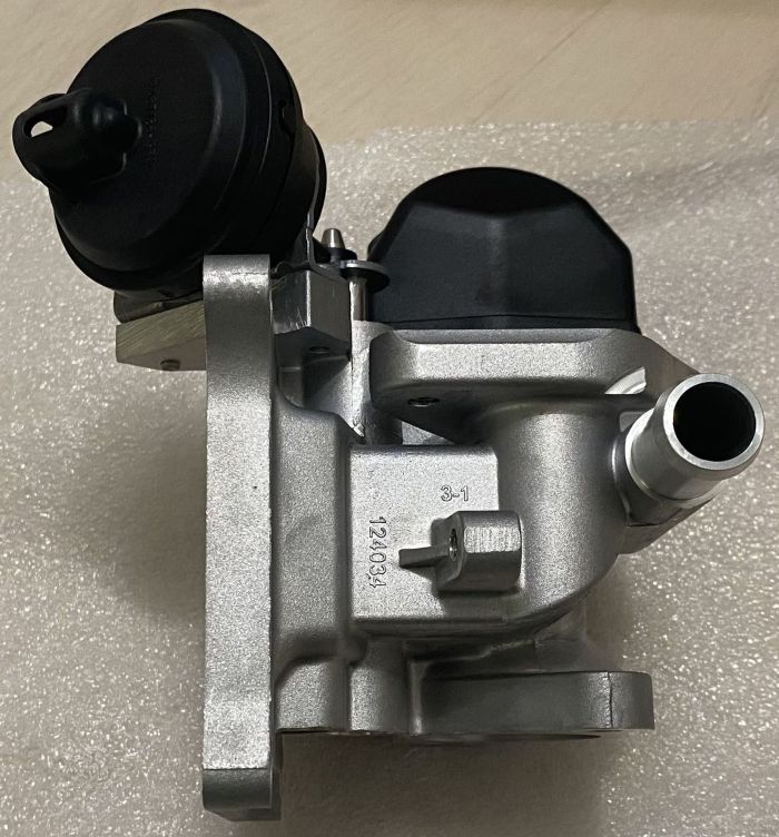 Клапан рециркуляції вихлопних газів (EGR) - BorgWarner - 710626D0